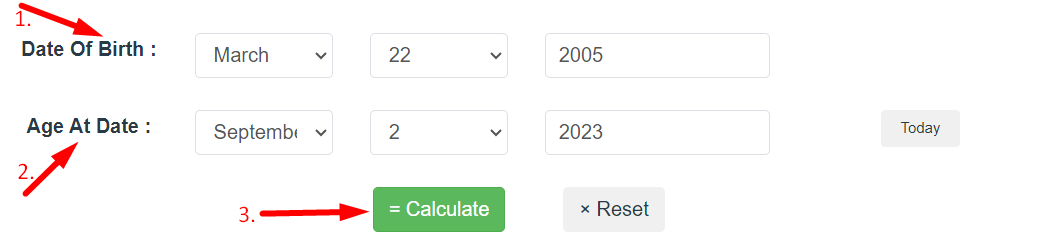 Age Calculator Step 2