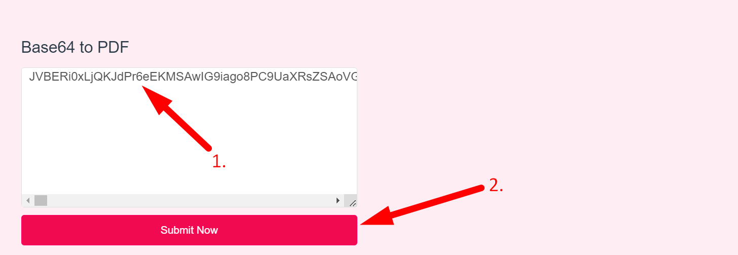 Base64 to PDF Converter Step 2