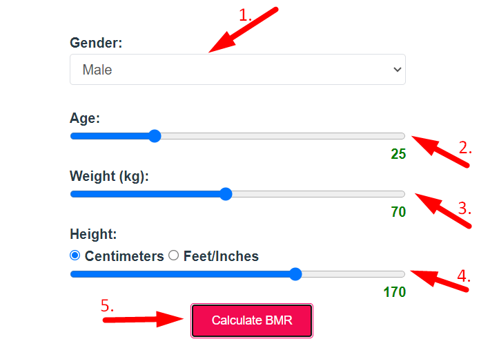 BMR Calculator Step 2