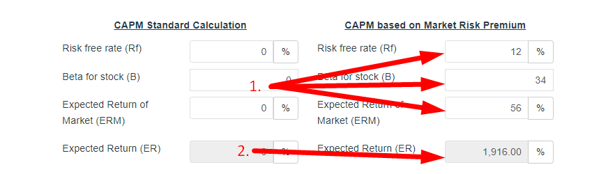 CAPM Calculator Step 3